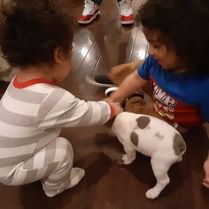 Meet your Posher, Benjamin